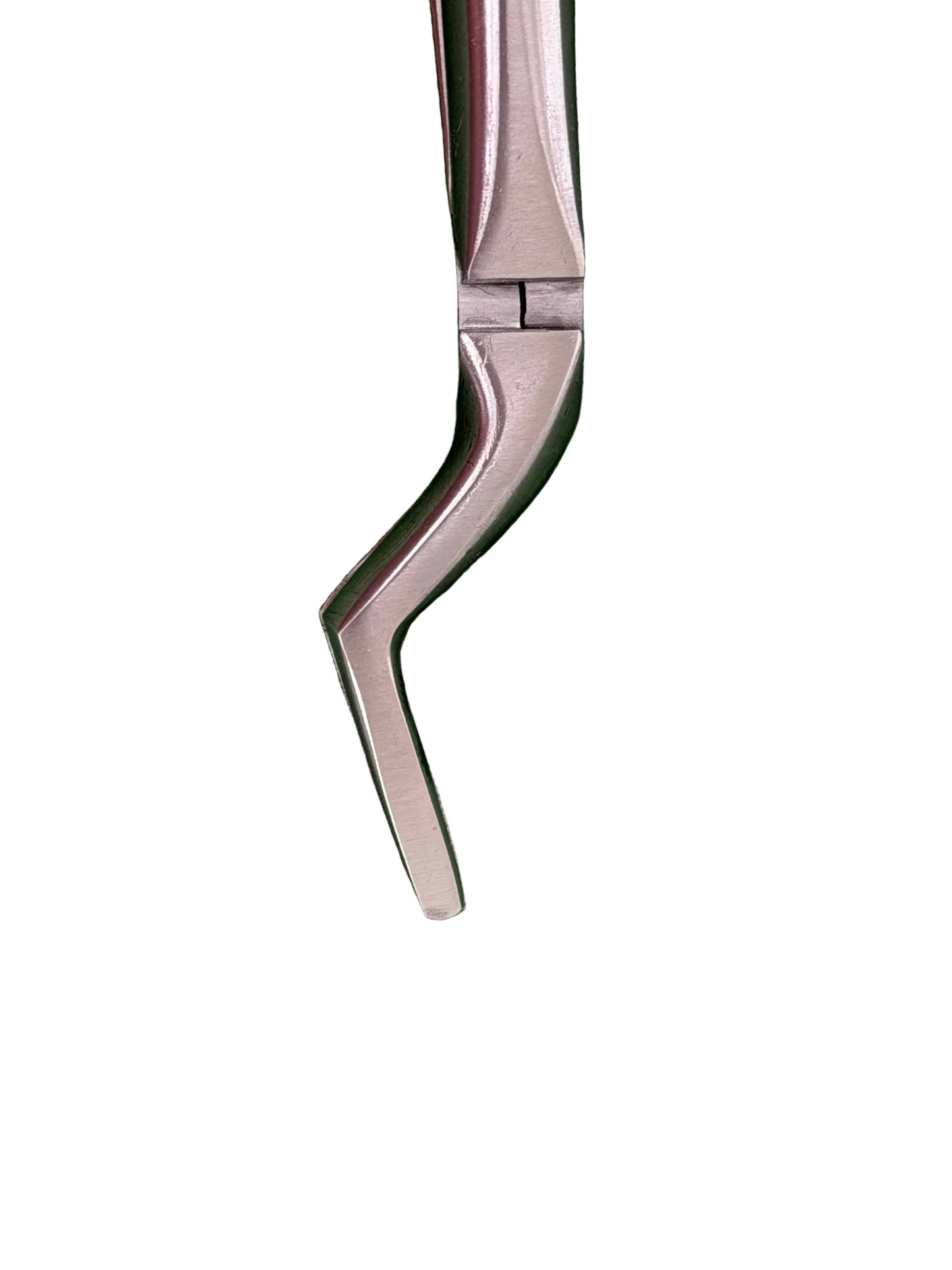 Tubingen Pro Upper Root Forcep Pointed and Bent
