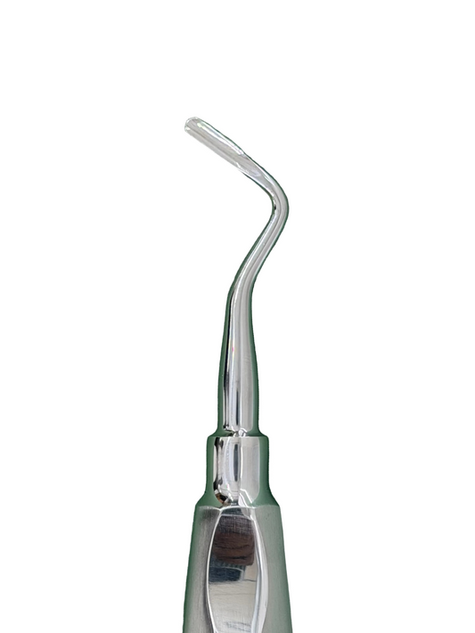 Tubingen Pro Root Elevator Apical Right