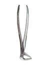 Tubingen Pro Lower root Forcep