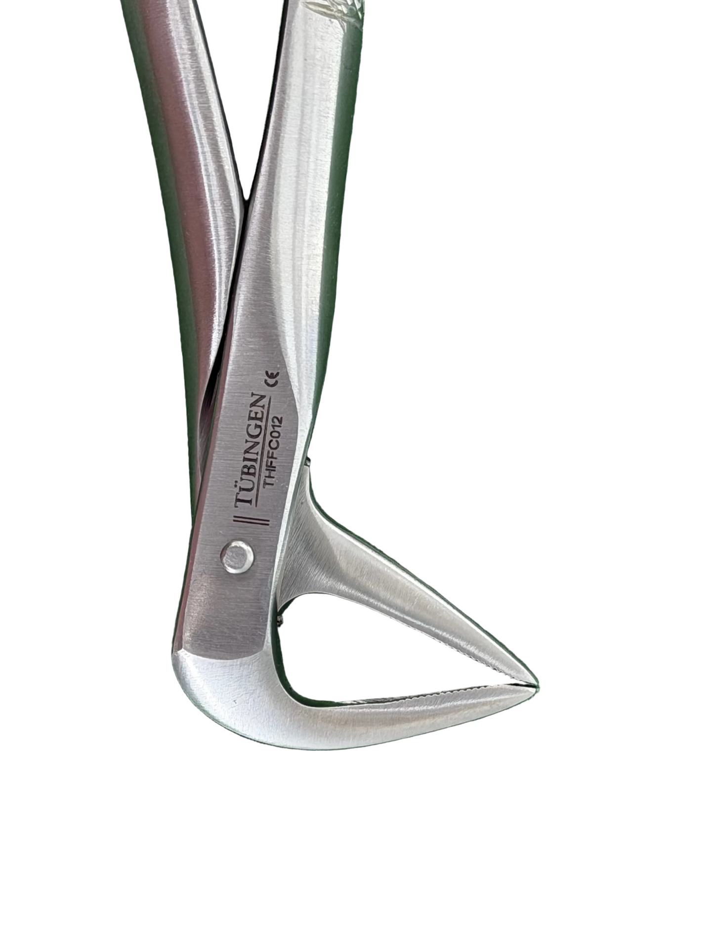 Tubingen Pro Lower root Forcep