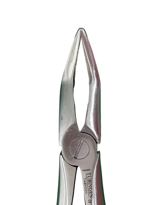 Tubingan Upper root Forcep Pointed and Bent