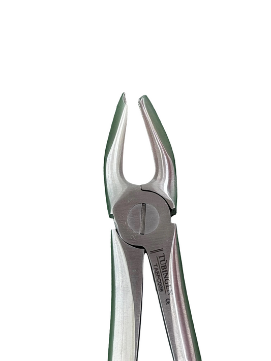 Tubingen Upper Molar Forcep Right