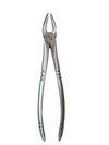 Tubingen Upper Premolar Forcep