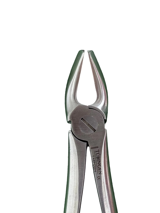 Tubingen Upper Premolar Forcep