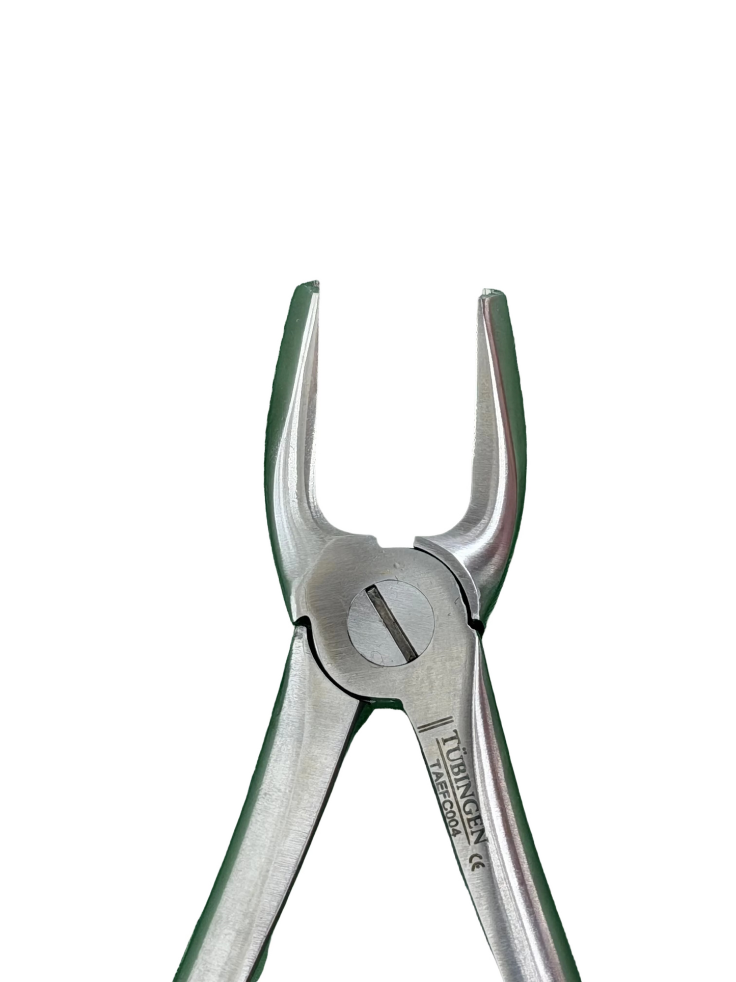 Tubingen Upper Premolar Forcep