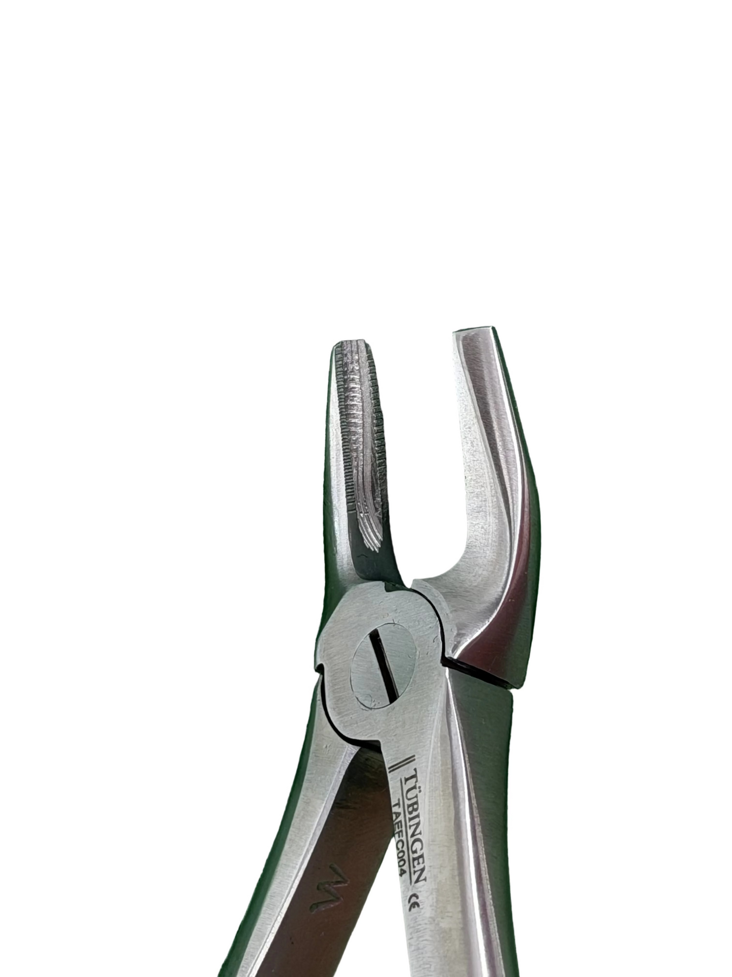 Tubingen Upper Premolar Forcep
