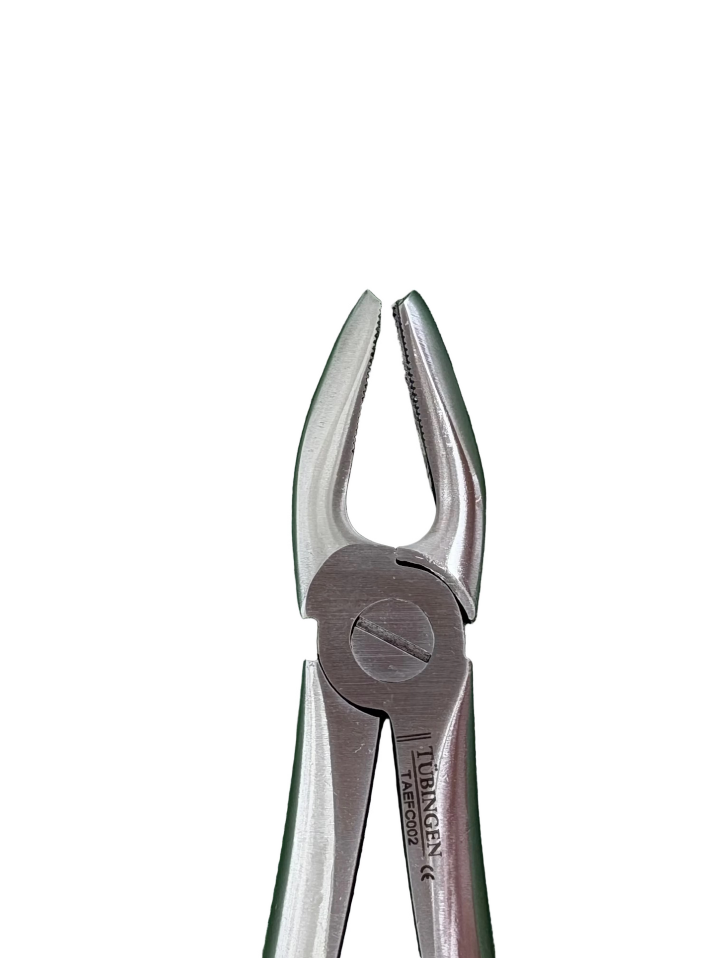 Tubingen Upper Inscisor Forceps