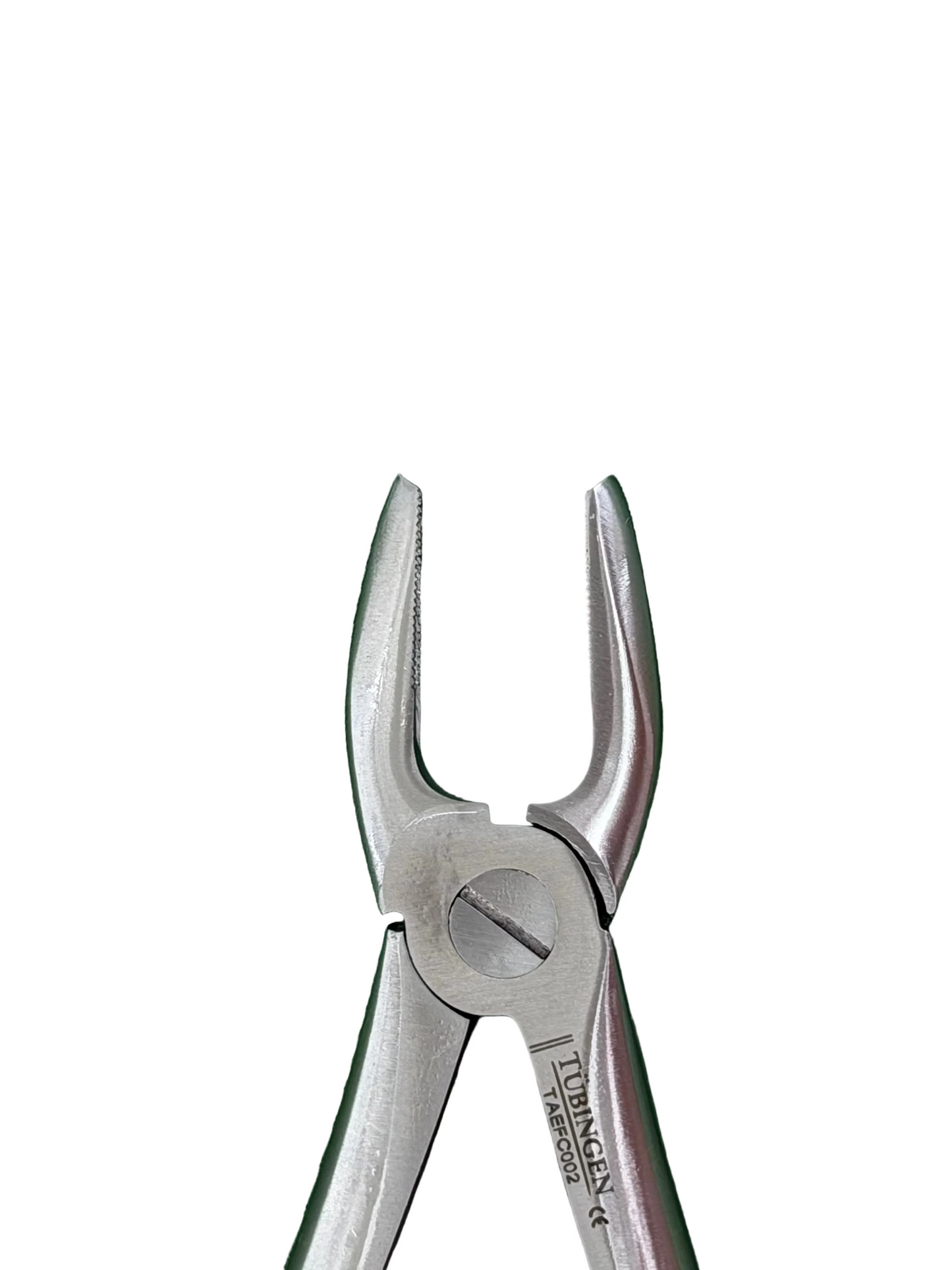 Tubingen Upper Inscisor Forceps